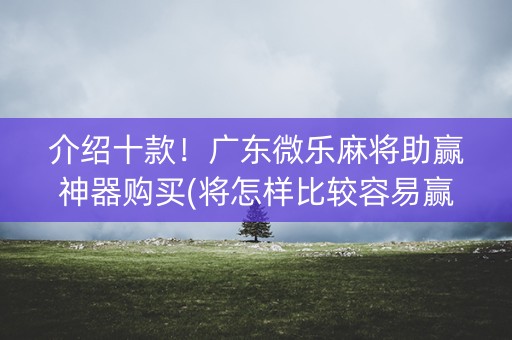 介绍十款！广东微乐麻将助赢神器购买(将怎样比较容易赢)