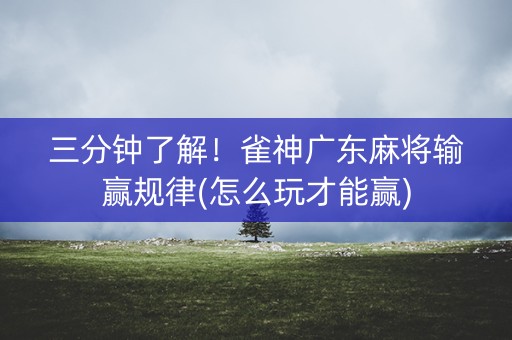 三分钟了解！雀神广东麻将输赢规律(怎么玩才能赢)