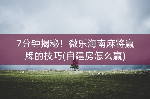 7分钟揭秘！微乐海南麻将赢牌的技巧(自建房怎么赢)