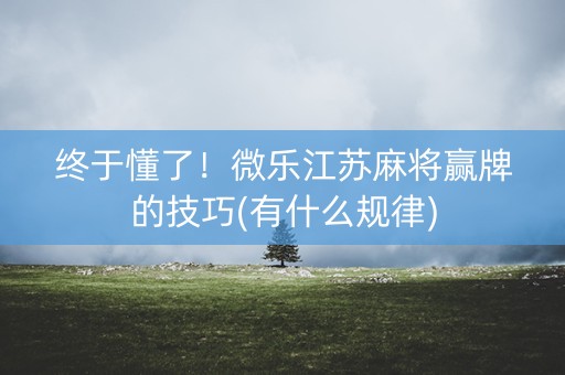 终于懂了！微乐江苏麻将赢牌的技巧(有什么规律)