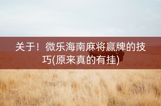 关于！微乐海南麻将赢牌的技巧(原来真的有挂)