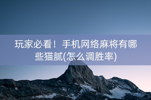 玩家必看！手机网络麻将有哪些猫腻(怎么调胜率)