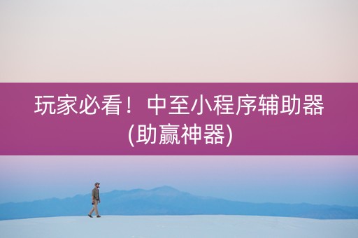 玩家必看！中至小程序辅助器(助赢神器)