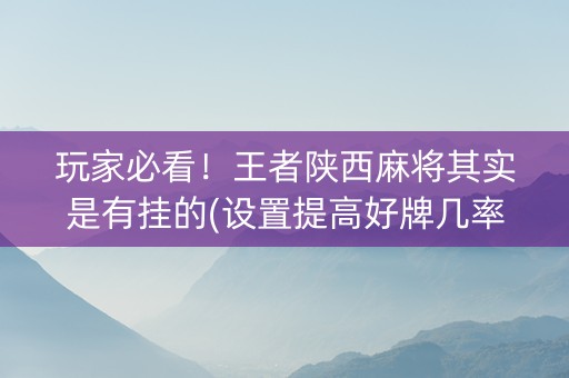 玩家必看！王者陕西麻将其实是有挂的(设置提高好牌几率)