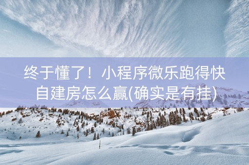 终于懂了！小程序微乐跑得快自建房怎么赢(确实是有挂)