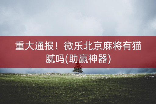 重大通报！微乐北京麻将有猫腻吗(助赢神器)