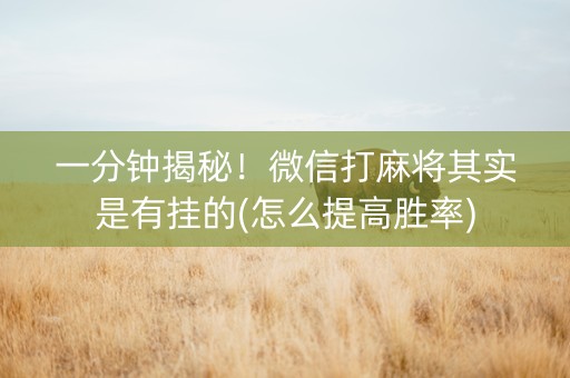 一分钟揭秘！微信打麻将其实是有挂的(怎么提高胜率)