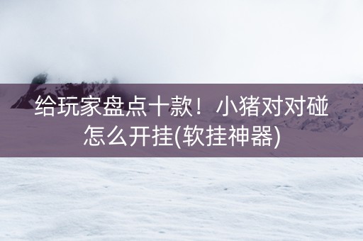 给玩家盘点十款！小猪对对碰怎么开挂(软挂神器)