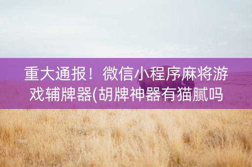 重大通报！微信小程序麻将游戏辅牌器(胡牌神器有猫腻吗)