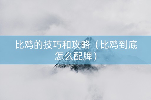 比鸡的技巧和攻略（比鸡到底怎么配牌）