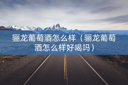 骊龙葡萄酒怎么样（骊龙葡萄酒怎么样好喝吗）