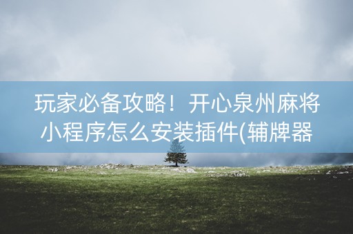 玩家必备攻略！开心泉州麻将小程序怎么安装插件(辅牌器购买)