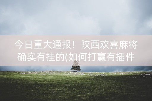 今日重大通报！陕西欢喜麻将确实有挂的(如何打赢有插件吗)