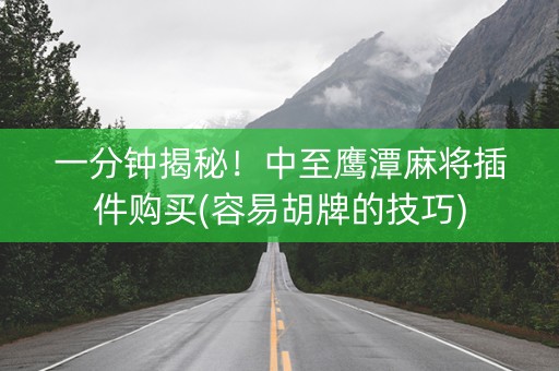 一分钟揭秘！中至鹰潭麻将插件购买(容易胡牌的技巧)