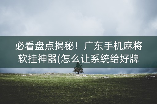 必看盘点揭秘！广东手机麻将软挂神器(怎么让系统给好牌)