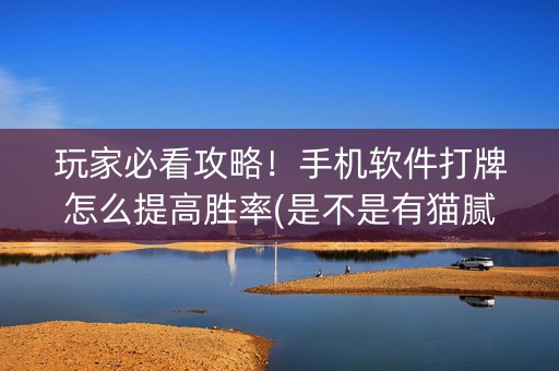 玩家必看攻略！手机软件打牌怎么提高胜率(是不是有猫腻)