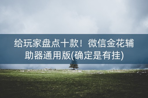 给玩家盘点十款！微信金花辅助器通用版(确定是有挂)