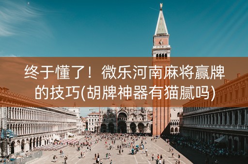 终于懂了！微乐河南麻将赢牌的技巧(胡牌神器有猫腻吗)