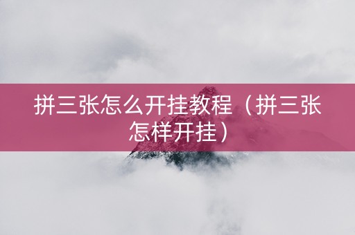 拼三张怎么开挂教程（拼三张怎样开挂）