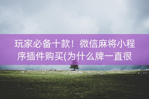 玩家必备十款！微信麻将小程序插件购买(为什么牌一直很差)