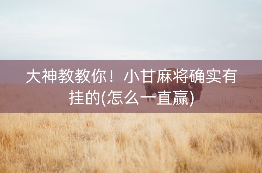大神教教你！小甘麻将确实有挂的(怎么一直赢)