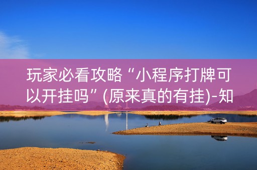 玩家必看攻略“小程序打牌可以开挂吗”(原来真的有挂)-知乎