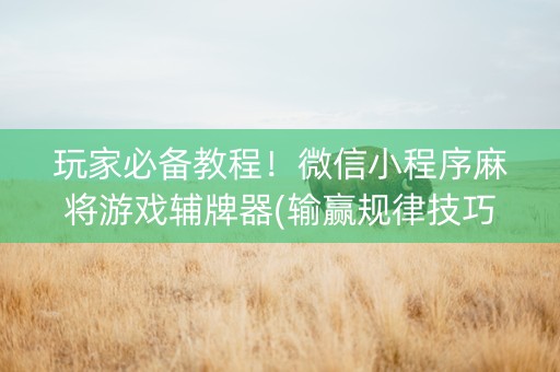 玩家必备教程！微信小程序麻将游戏辅牌器(输赢规律技巧)