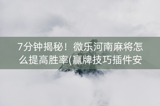 7分钟揭秘！微乐河南麻将怎么提高胜率(赢牌技巧插件安装)