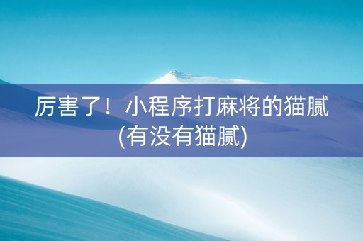 厉害了！小程序打麻将的猫腻(有没有猫腻)