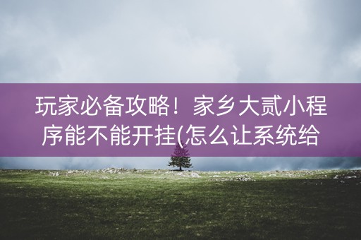 玩家必备攻略！家乡大贰小程序能不能开挂(怎么让系统给自己好牌)