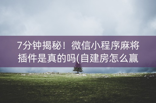 7分钟揭秘！微信小程序麻将插件是真的吗(自建房怎么赢)