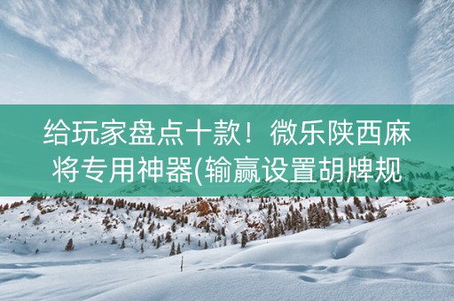 给玩家盘点十款！微乐陕西麻将专用神器(输赢设置胡牌规律)