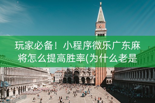玩家必备！小程序微乐广东麻将怎么提高胜率(为什么老是输)