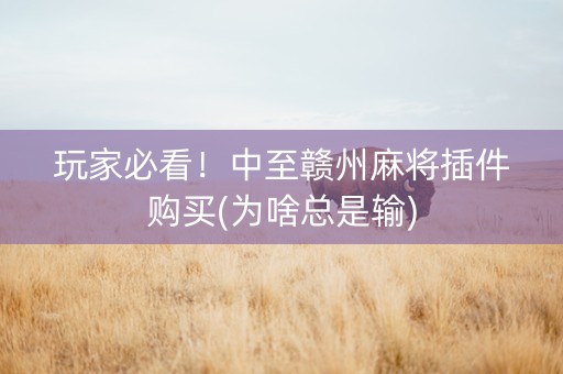 玩家必看！中至赣州麻将插件购买(为啥总是输)