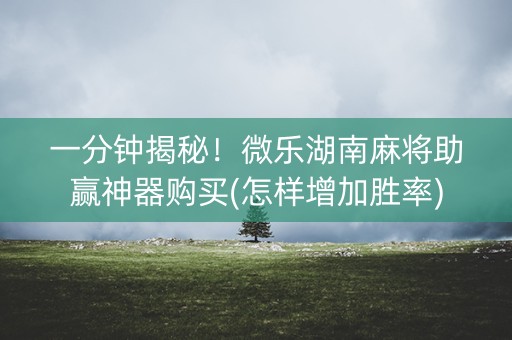 一分钟揭秘！微乐湖南麻将助赢神器购买(怎样增加胜率)