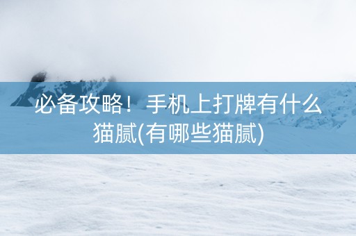 必备攻略！手机上打牌有什么猫腻(有哪些猫腻)