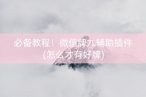 必备教程！微信牌九辅助插件(怎么才有好牌)