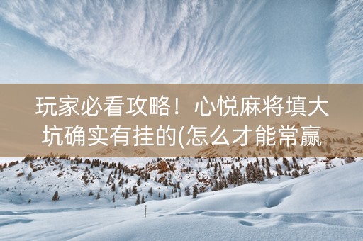 玩家必看攻略！心悦麻将填大坑确实有挂的(怎么才能常赢)