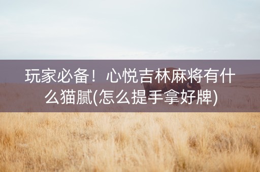 玩家必备！心悦吉林麻将有什么猫腻(怎么提手拿好牌)