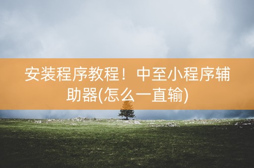 安装程序教程！中至小程序辅助器(怎么一直输)