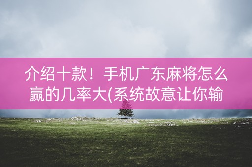 介绍十款！手机广东麻将怎么赢的几率大(系统故意让你输)