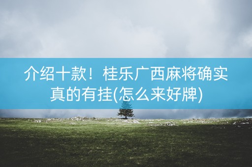 介绍十款！桂乐广西麻将确实真的有挂(怎么来好牌)