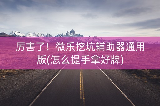 厉害了！微乐挖坑辅助器通用版(怎么提手拿好牌)
