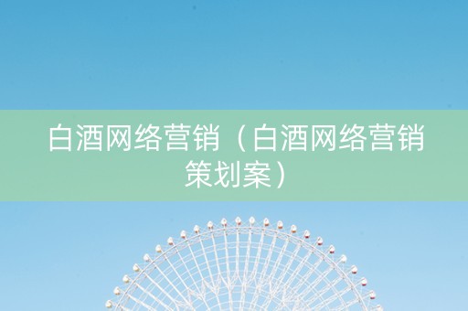 白酒网络营销（白酒网络营销策划案）