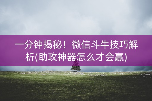 一分钟揭秘！微信斗牛技巧解析(助攻神器怎么才会赢)
