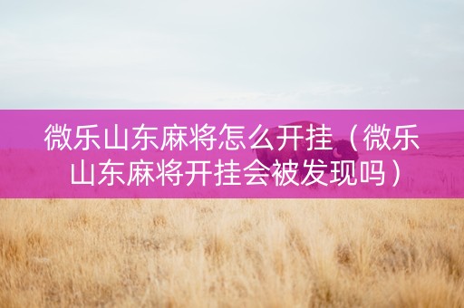 微乐山东麻将怎么开挂（微乐山东麻将开挂会被发现吗）