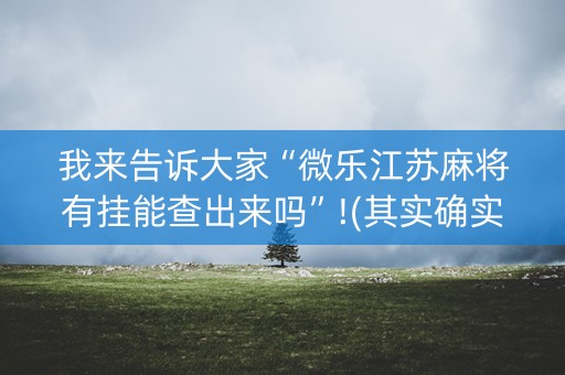 我来告诉大家“微乐江苏麻将有挂能查出来吗”!(其实确实有挂)-知乎