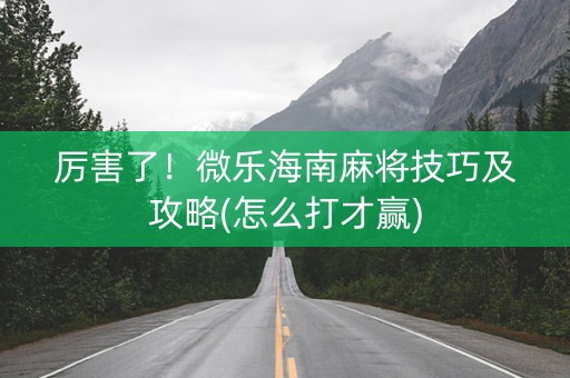 厉害了！微乐海南麻将技巧及攻略(怎么打才赢)