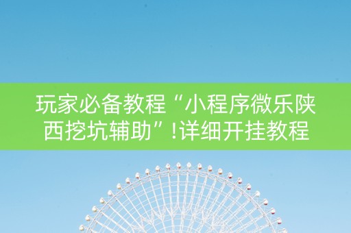 玩家必备教程“小程序微乐陕西挖坑辅助”!详细开挂教程-知乎