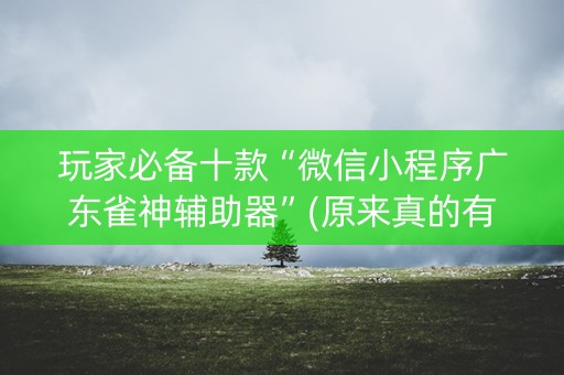 玩家必备十款“微信小程序广东雀神辅助器”(原来真的有挂)-知乎